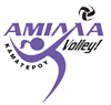 AmillaVolley Λογότυπο